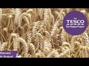 youtube - [Video]
